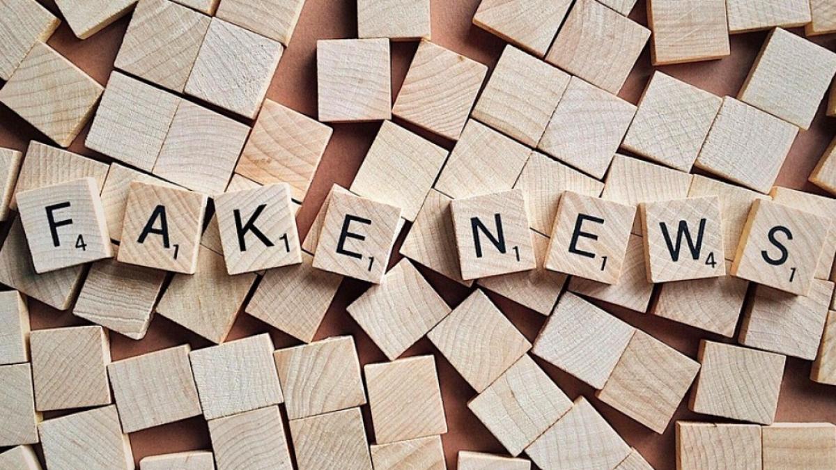 fake_news_codruta_cerva_51499000