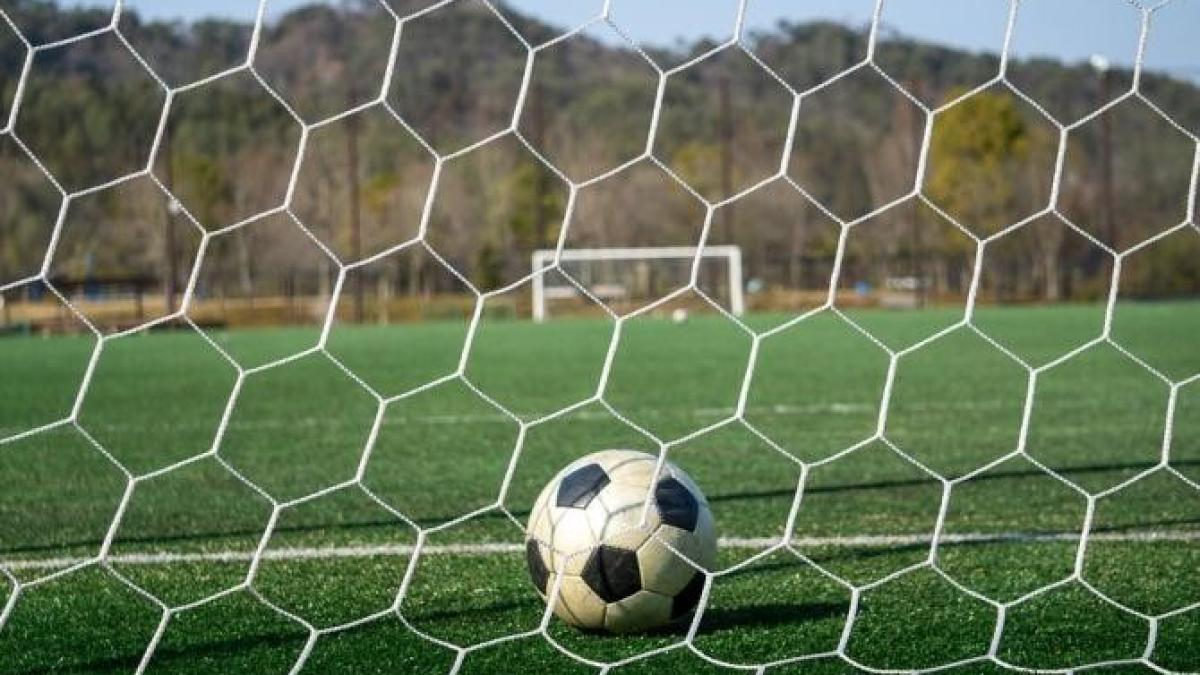 fotbal--liga-i---fc-hermannstadt---fc-argesprc-ccprc-a7--scor-final_49071800