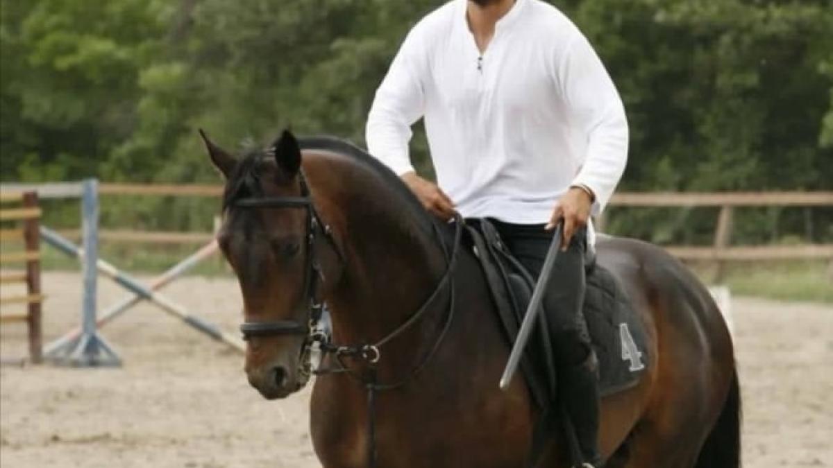 denis-stefan-tata-a-doua-oara_20270000