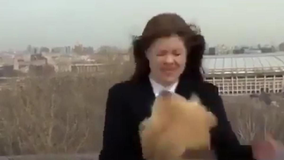 un-caine-a-furat-microfonul-unuiprc-c2prc-a0reporterprc-c2prc-a0in-timpul-unei-transmisiuni-liveprc-c2prc-a0_34770000