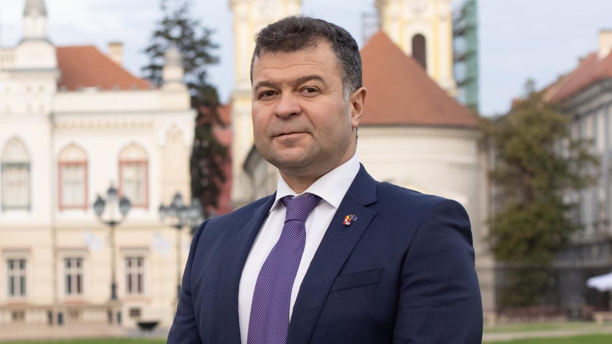 marilen_gabriel_pirtea_deputat_timis_85473800