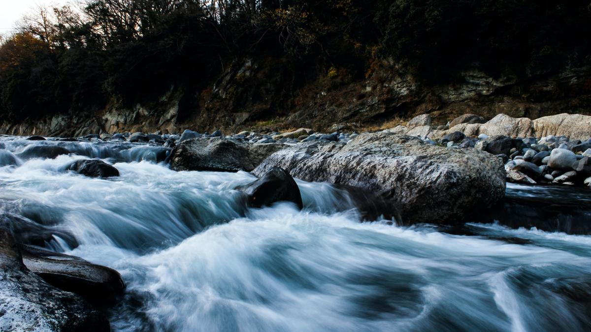 parau_copil_mort_domnesti_unsplash_75587300