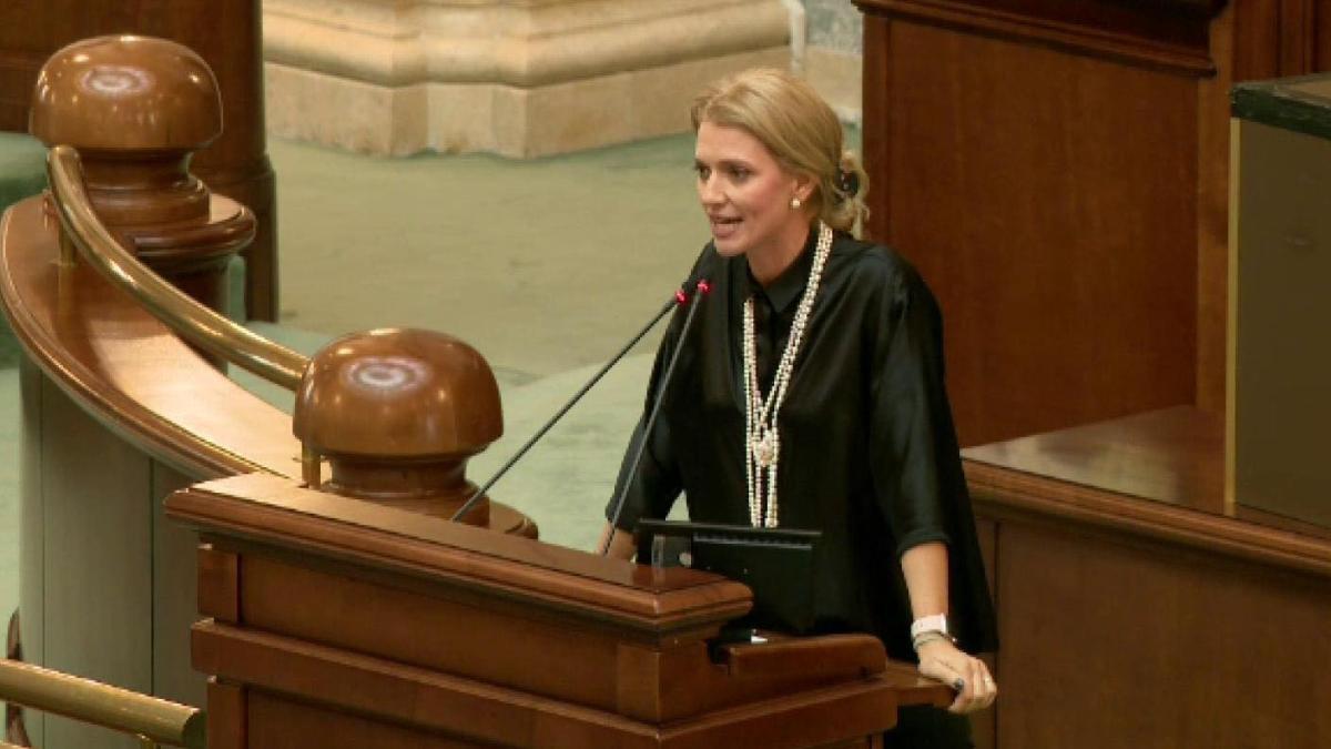 alina-gorghiu-parlament-sosoaca-sanctiuni_58028900
