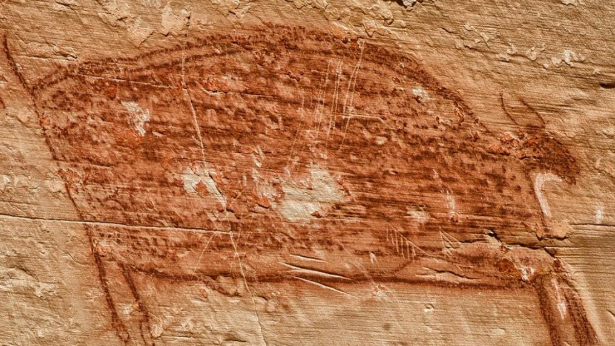 oamenii_pesterii_arta_ilustrativ_pxb_03527500