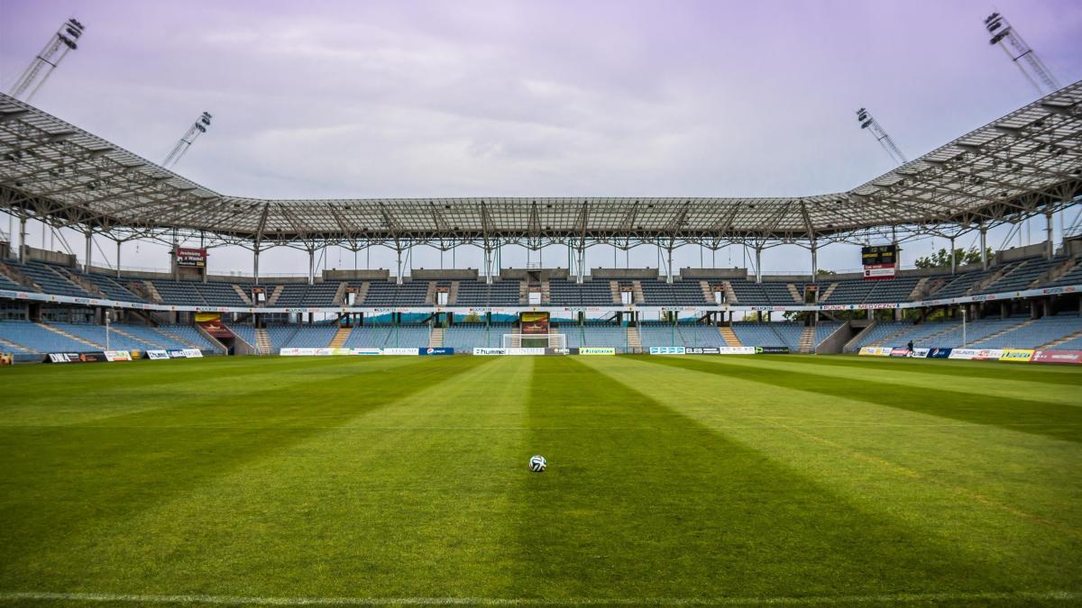 stadion_suporteri_gica_popescu_pexels_28763800