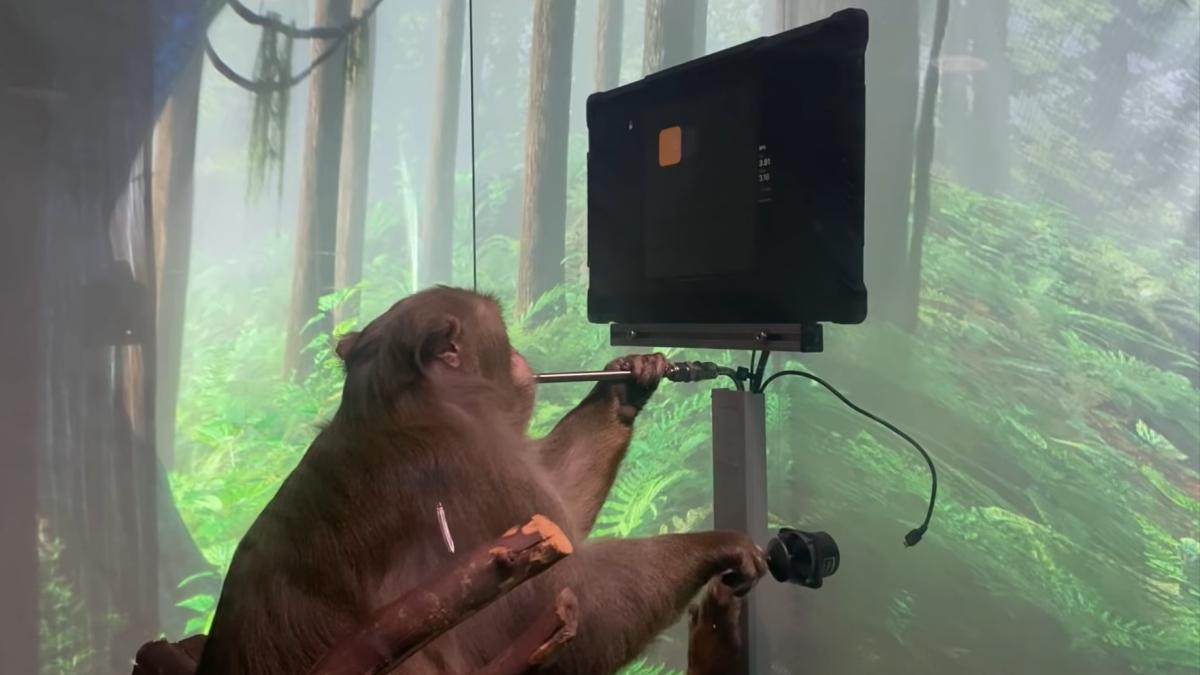 paige_international_neuralink_ilustrativ_80619000