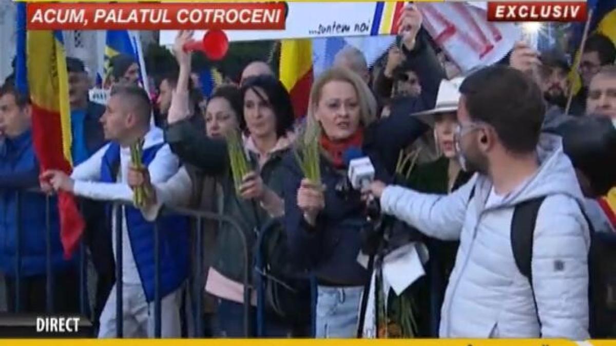 codruta-cerva-sparanghel-cotroceni_89668900