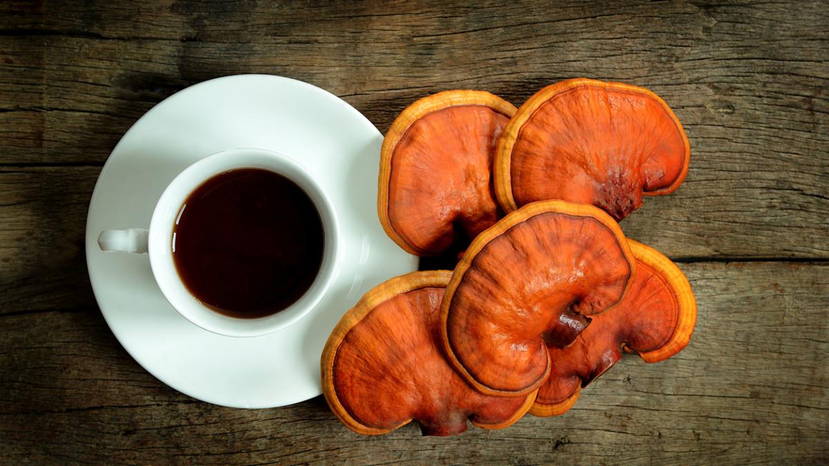 ganoderma-imunitate_96992800
