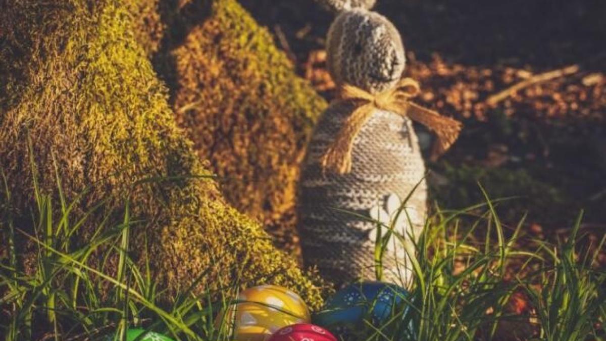 elena_mateescu_vreme_florii_pasti_foto_pexels_37511400