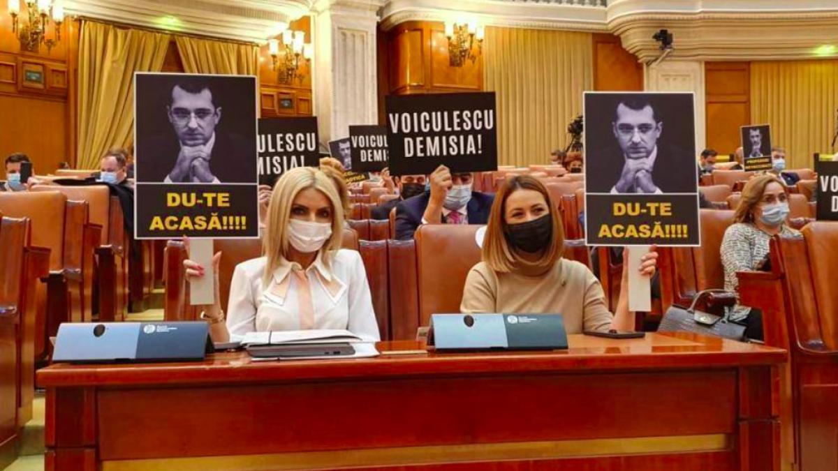 laura_vicol_demisia_voiculescu_proteste_psd_facebook_41579000