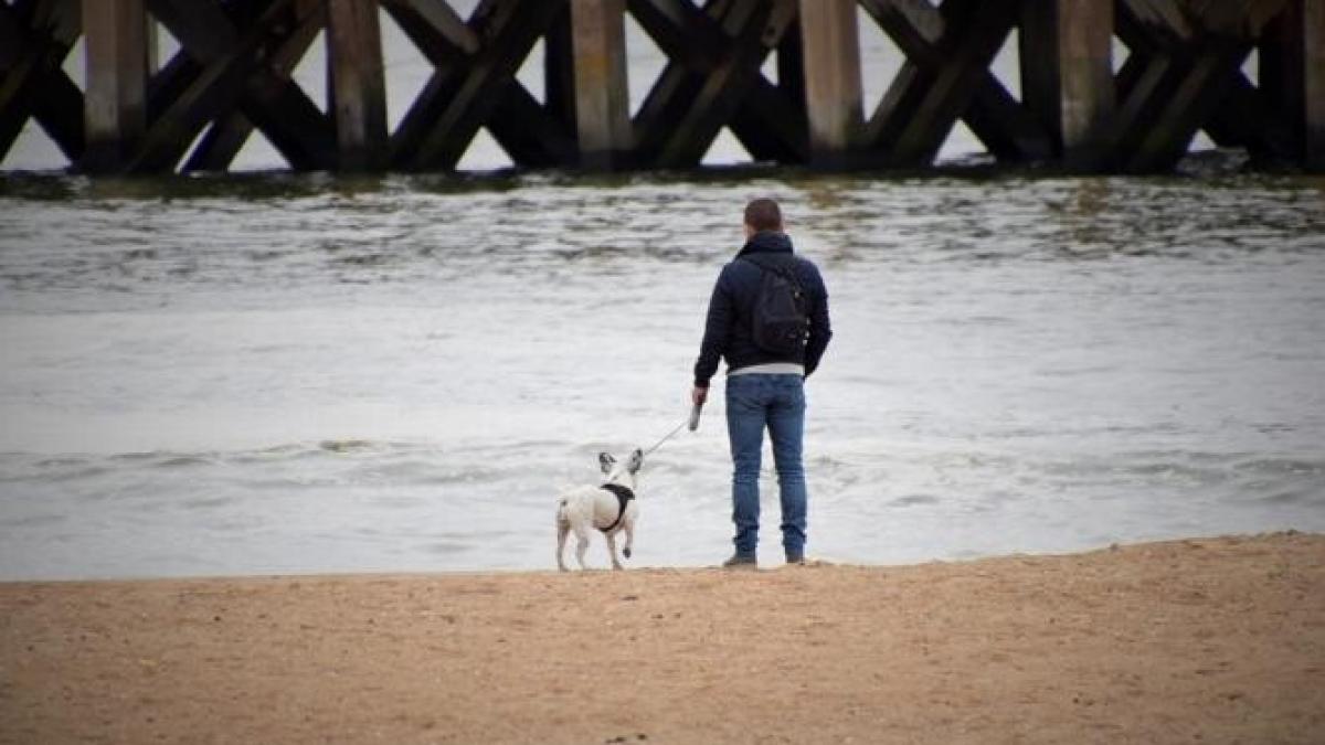 un-baprc-ccprc-86rbat-a-avariat-douaprc-ccprc-86-masprc-ccprc-a6ini-de-nervi-caprc-ccprc-86-sprc-ccprc-a6i-a-pierdut-caprc-ccprc-82inele_52173500