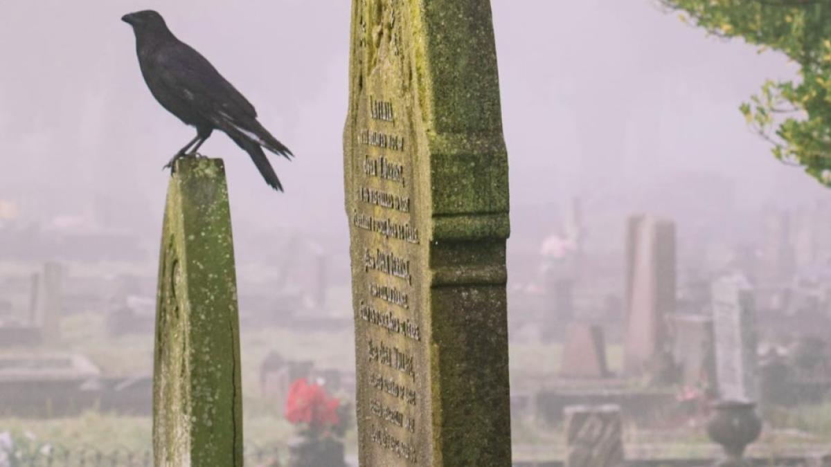 cimitir_ilustrativ_pexels_china_00738500