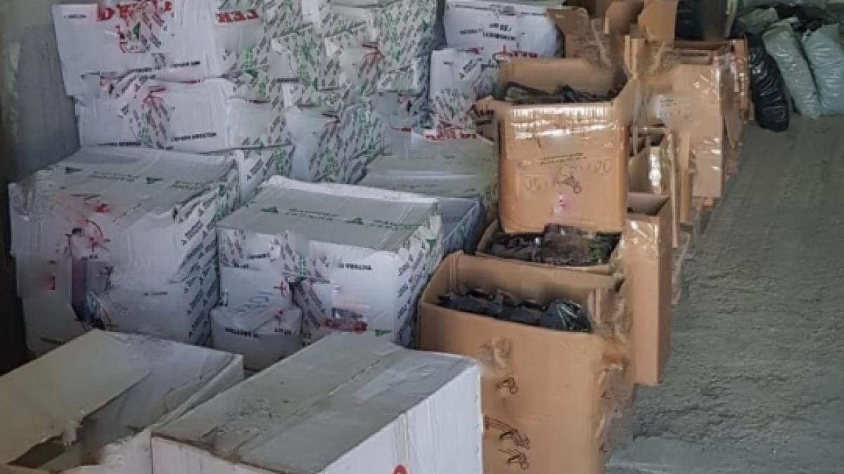 produse_raticide_neomologate_indisponibilizate_34376900