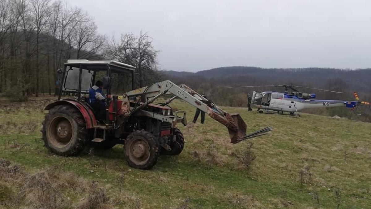 taiere-ilegala-copaci---elicopter_29129900