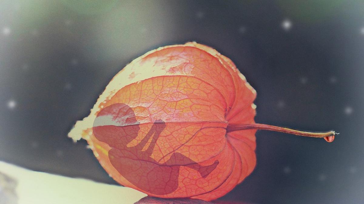 embrion-himera_95314500