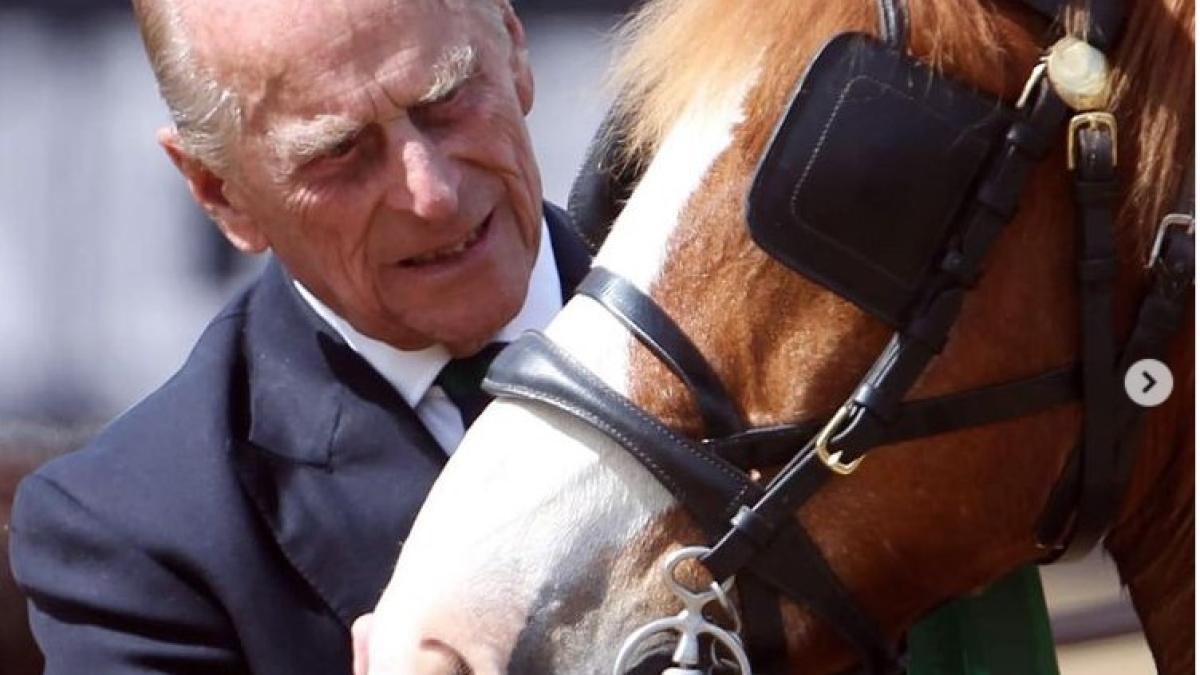 printul-philip--fascinat-de-delta-dunarii_46282900