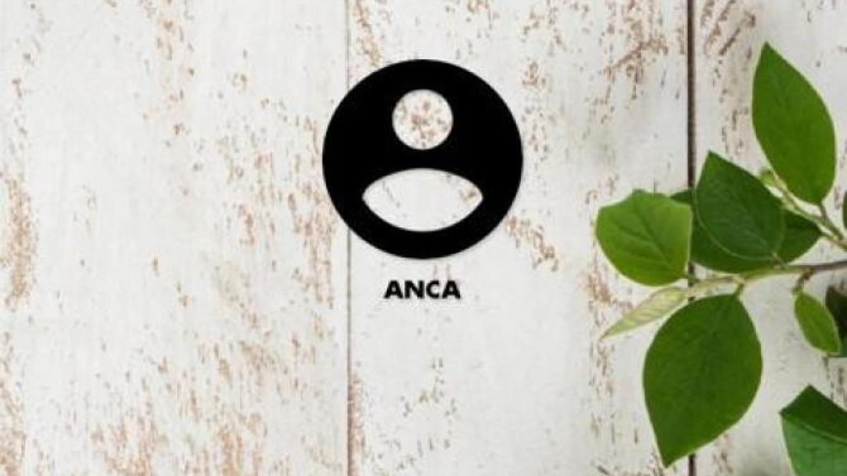 raiffeisen-aplicatie_48381000