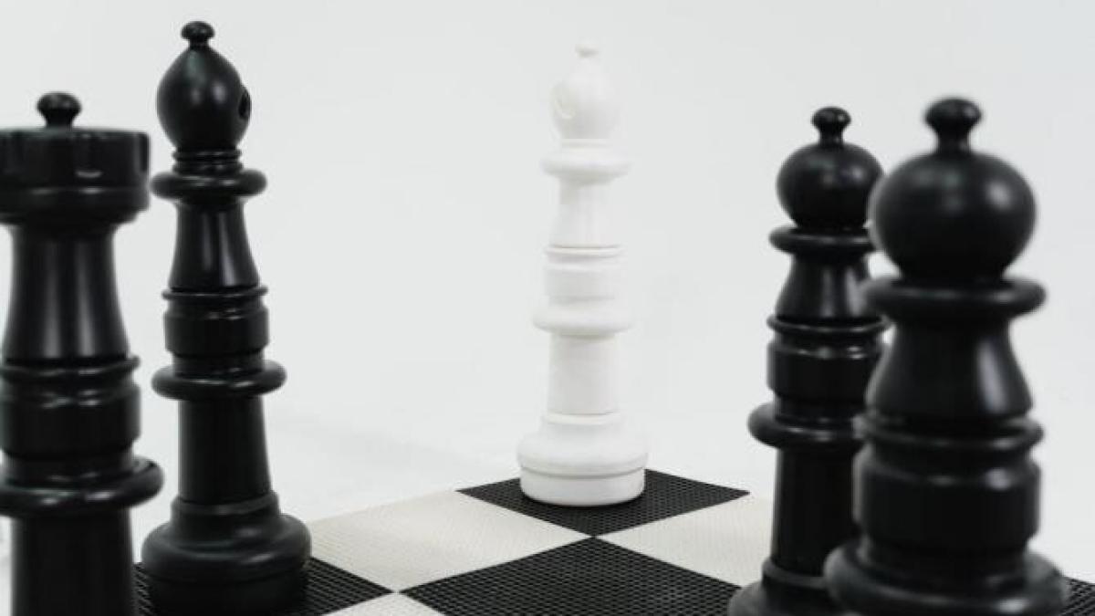 sah_foto_pexels_75756600