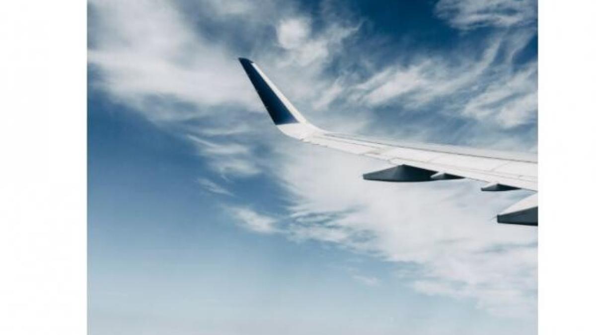 zbor_foto_pexels_05105400