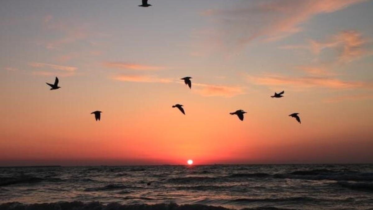 anul-2020--unul-dintre-cei-mai-caprc-ccprc-86ldurosprc-ccprc-a7i-din-istoria-iprc-ccprc-82nregistraprc-ccprc-86rilor-meteorologice_27472100