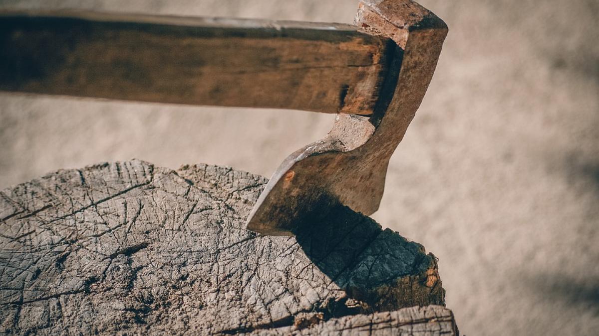 topor-cersetor_59368900