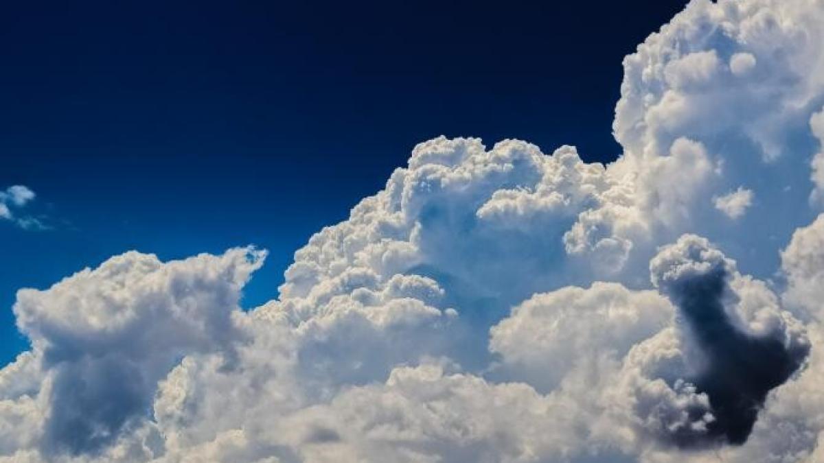 elena-mateescu--directorul-anm-anuntprc-ccprc-a6aprc-ccprc-86-cum-va-fi-vremea-de-florii-sprc-ccprc-a6i-iprc-ccprc-82n-minivacantprc-ccprc-a6a-de-pasprc-ccprc-a6te_63518900