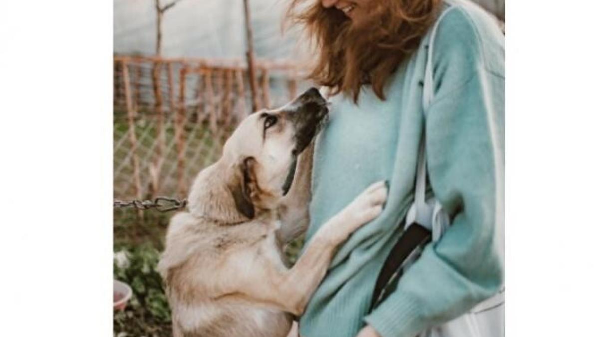 horoscop_aprilie_foto_pexels_47103200