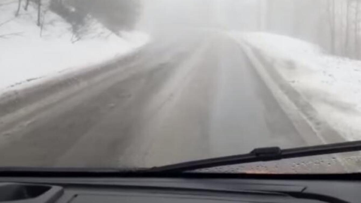 image_2021-04-20_104700_01349100