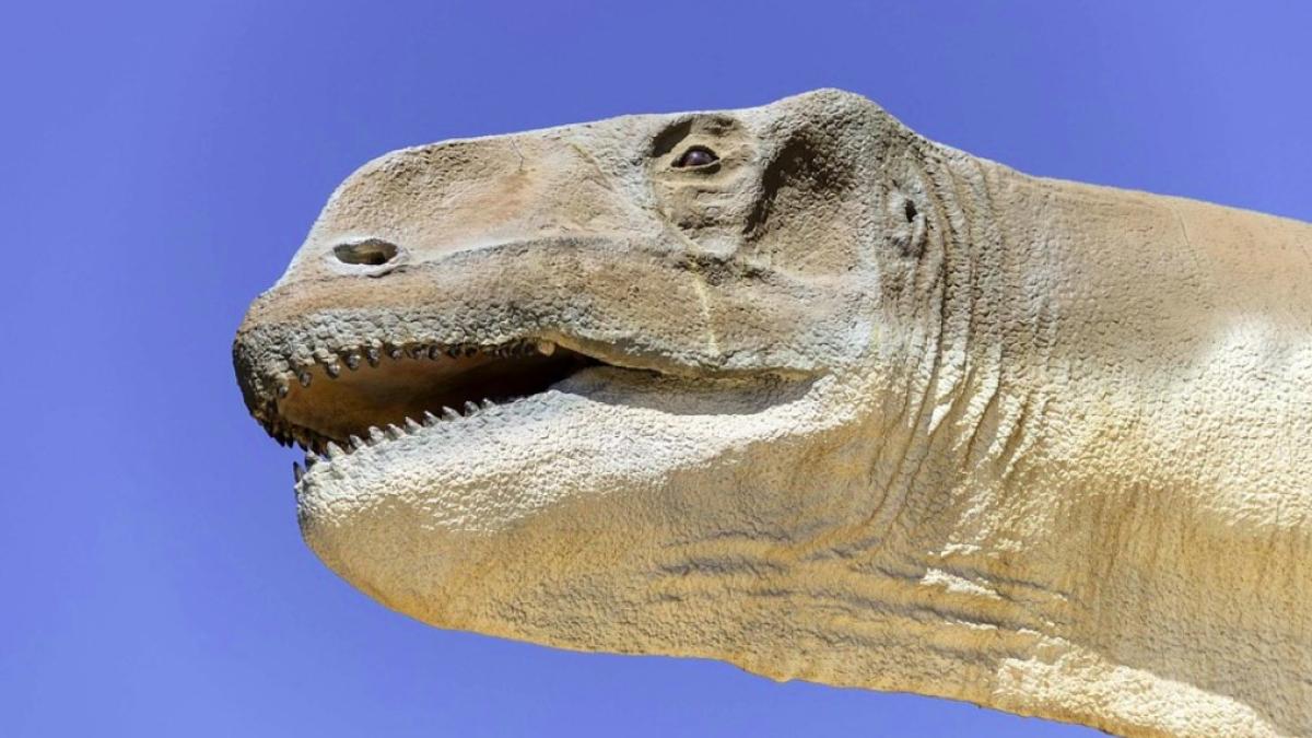 dinozaur_ilustrativ_pxb_2_93069500