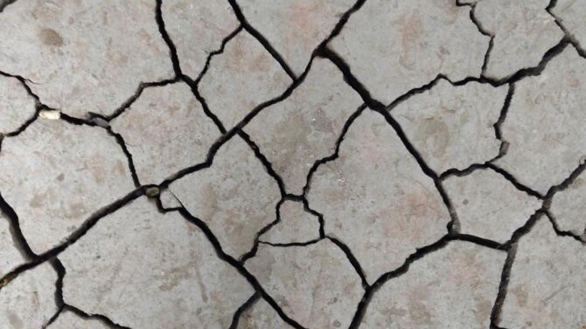 cutremur-de-suprafatprc-ccprc-a6aprc-ccprc-86-iprc-ccprc-82n-aceastaprc-ccprc-86-dupaprc-ccprc-86-amiazaprc-ccprc-86-iprc-ccprc-82n-romaprc-ccprc-82nia_16775700