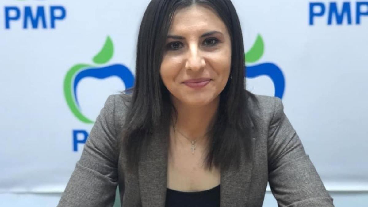 ioana-constantin-criza-politica-sanatate_66161100