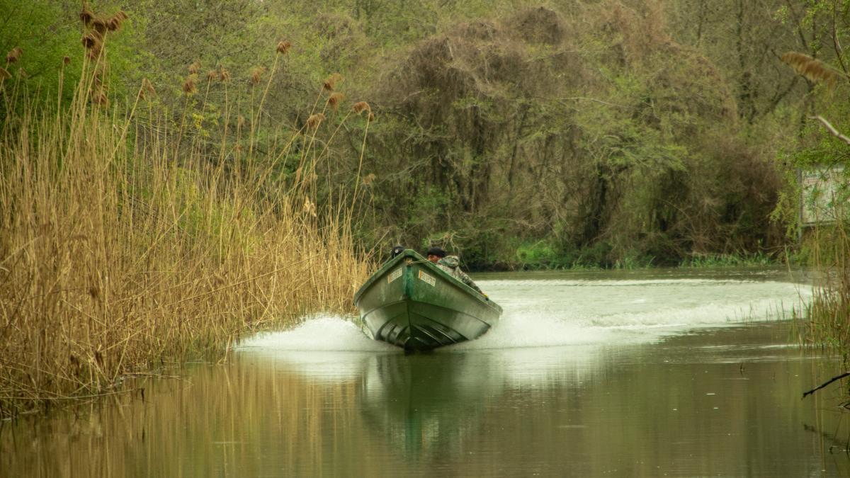 vacanta-delta-2021-catalin-tibuleac_79667200