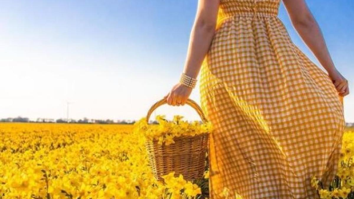 imprimeu-gingham-instagram_13484000