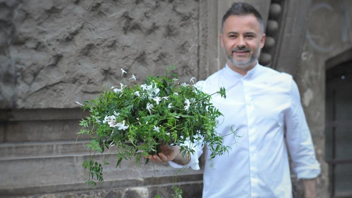 nicu_bocancea_flori_37927300