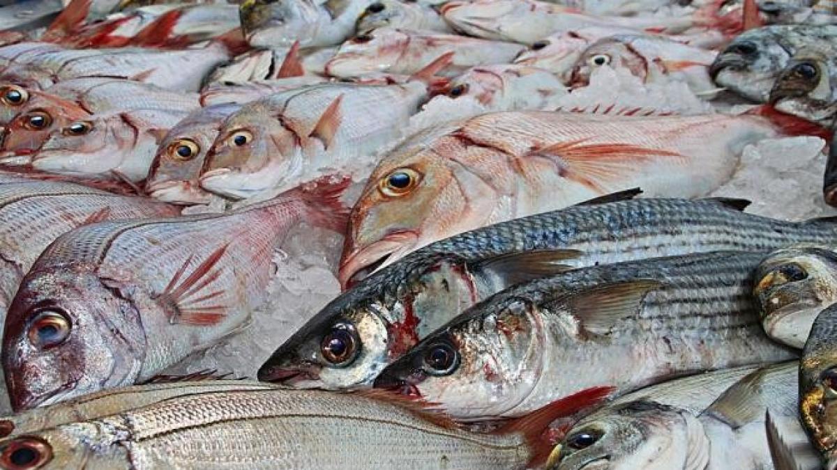 sute-de-kilograme-de-pesprc-ccprc-a6te--confiscate-din-pietprc-ccprc-a6ele-bucuresprc-ccprc-a6tene_23828400