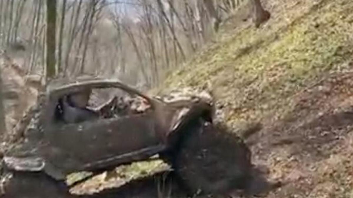 pirvulescu-capota-accident_12330400