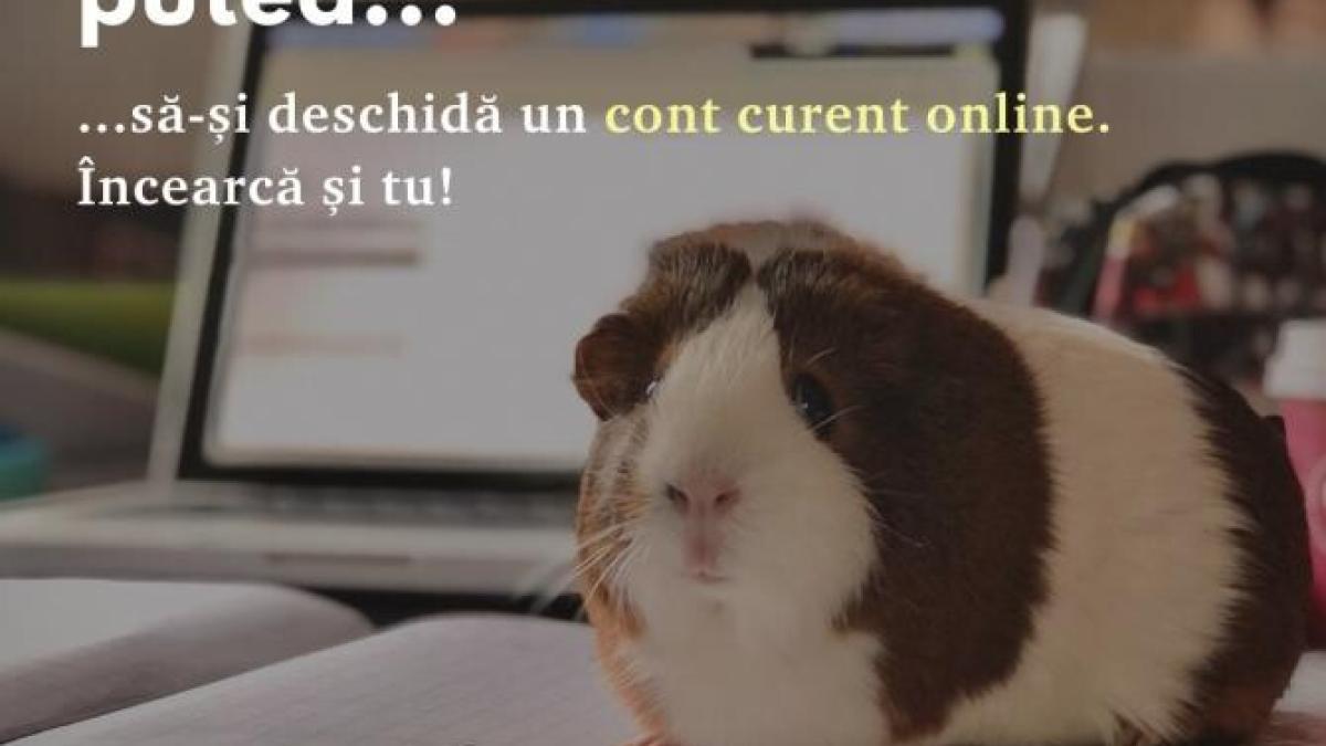 cec-bank-lanseazaprc-ccprc-86-cardul-de-credit-100prc--online--cu-24-de-rate-faprc-ccprc-86raprc-ccprc-86-dobaprc-ccprc-82ndaprc-ccprc-86_72865800