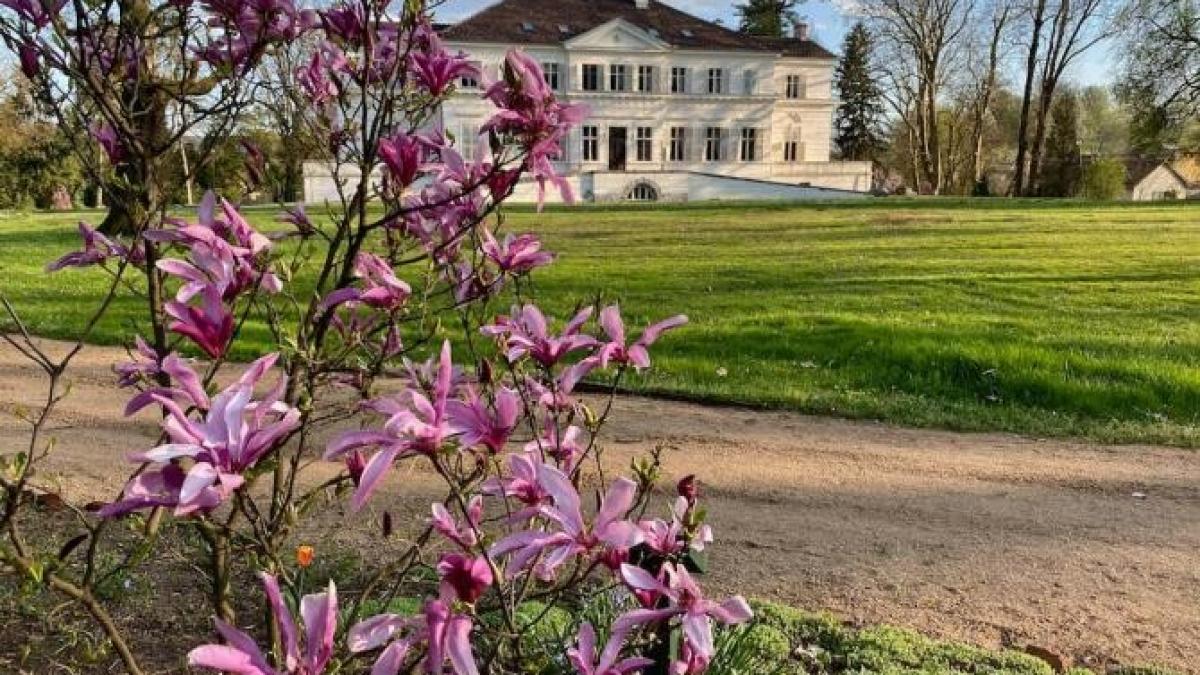 178038286_3898197733561517_21725607934867242_n_97136700