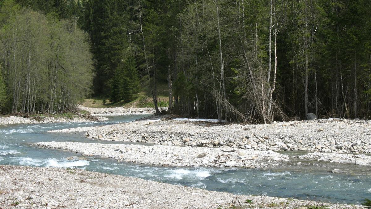 jucarii-erotice-albia-raului-rebra_50277300