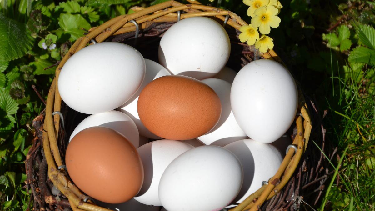 cum-albim-un-ou-cu-coaja-maro--cea-mai-simpla-metoda_70151300