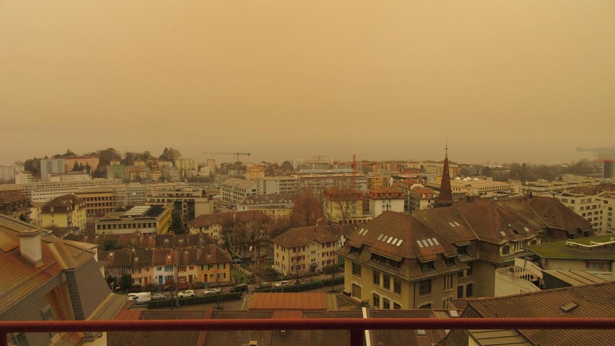 furtuna-de-nisip_51317300