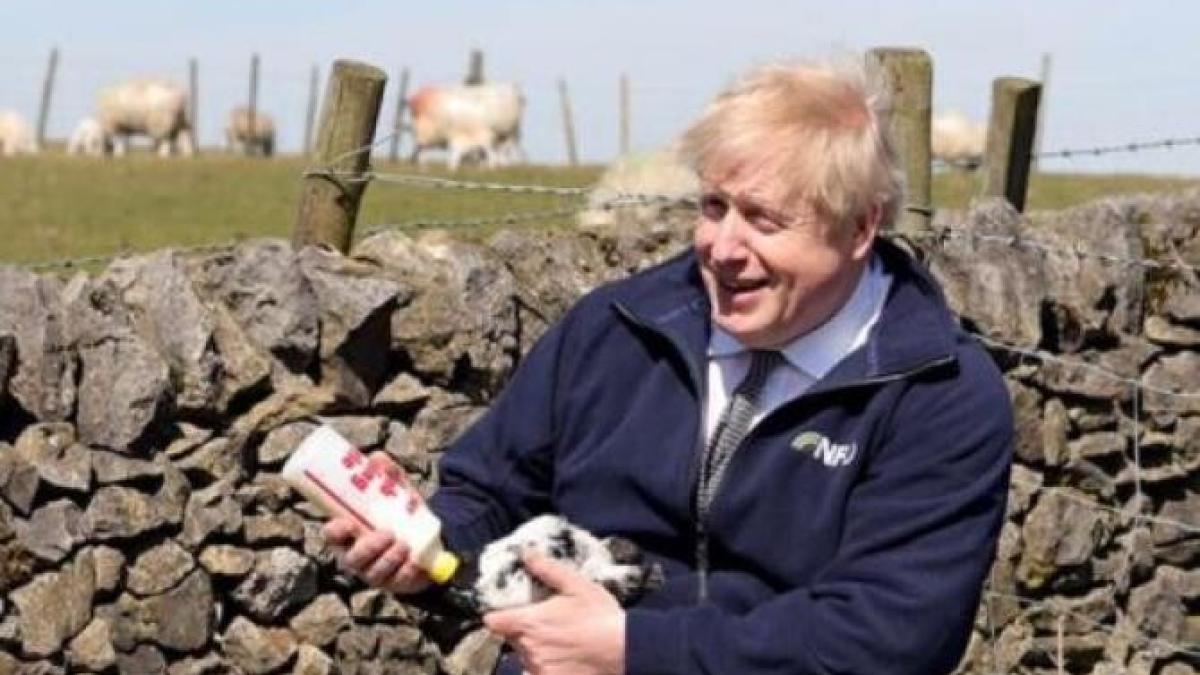 boris-johnson_56999600