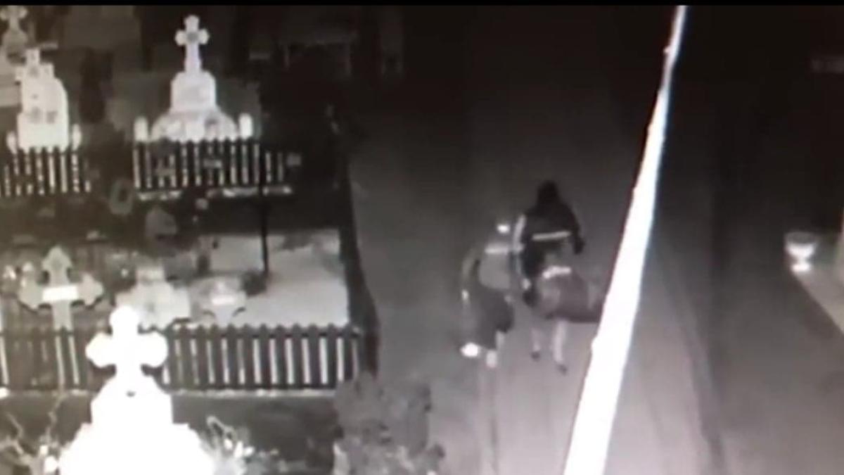 cimitir-hoti-flori_10646800