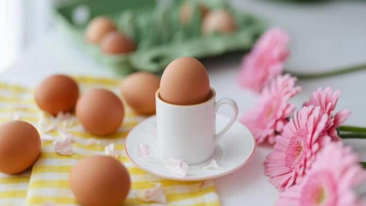 oua_paste_foto_pexels_10253400