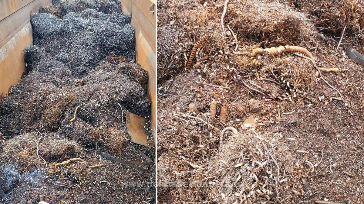 deseuri_metalice_oprite_giurgiu_78715300