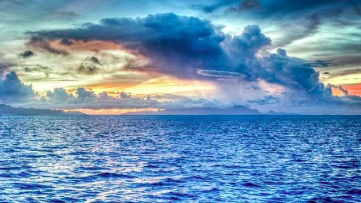 prototip-minerit_international_pxb_71986600