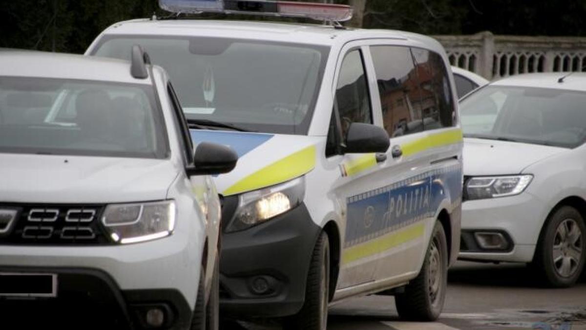 perchezitii-politie-alba_62703100