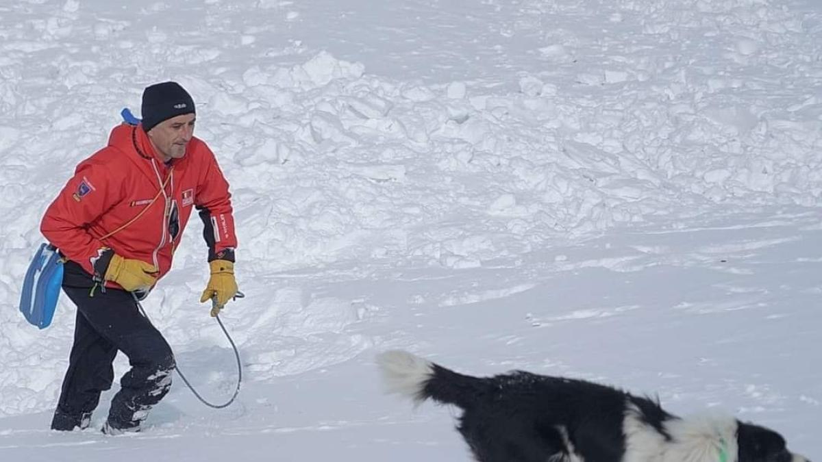 caini-salvamont-gorj3_25441100