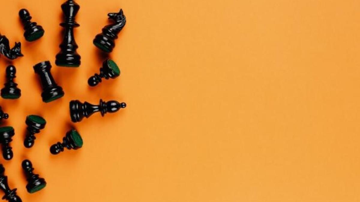 bruno_stefan_sondaj_boc_citu_orban_foto_pexels_93050300