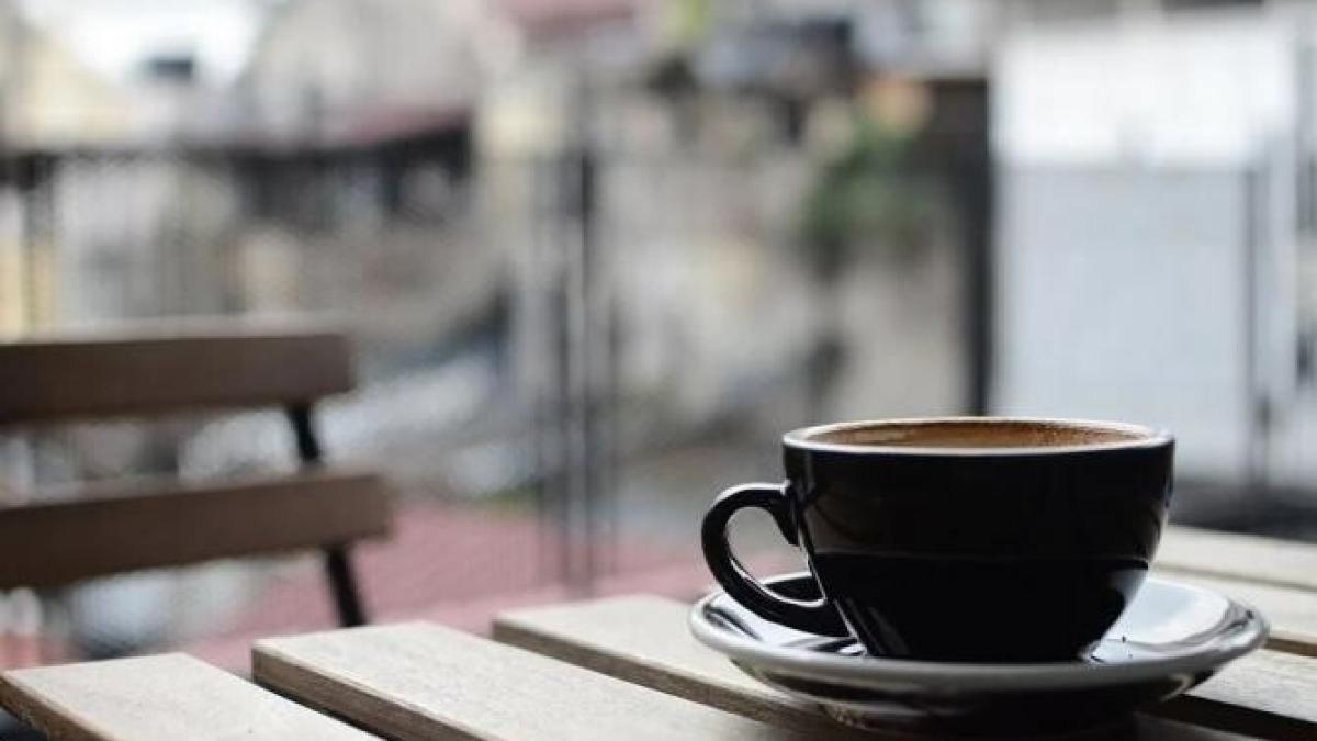 cafenele-bistrita-scenariul-verde-pixabay_91236800